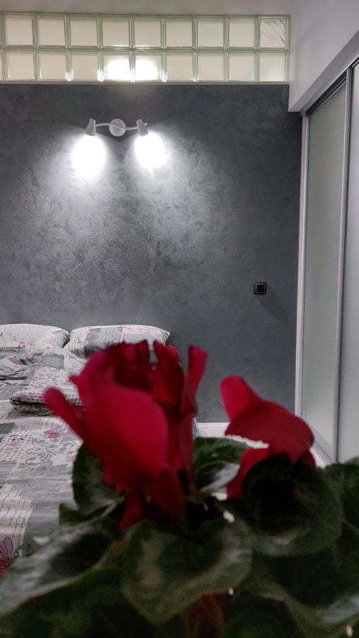 Apartman 23 Belgrad Dış mekan fotoğraf
